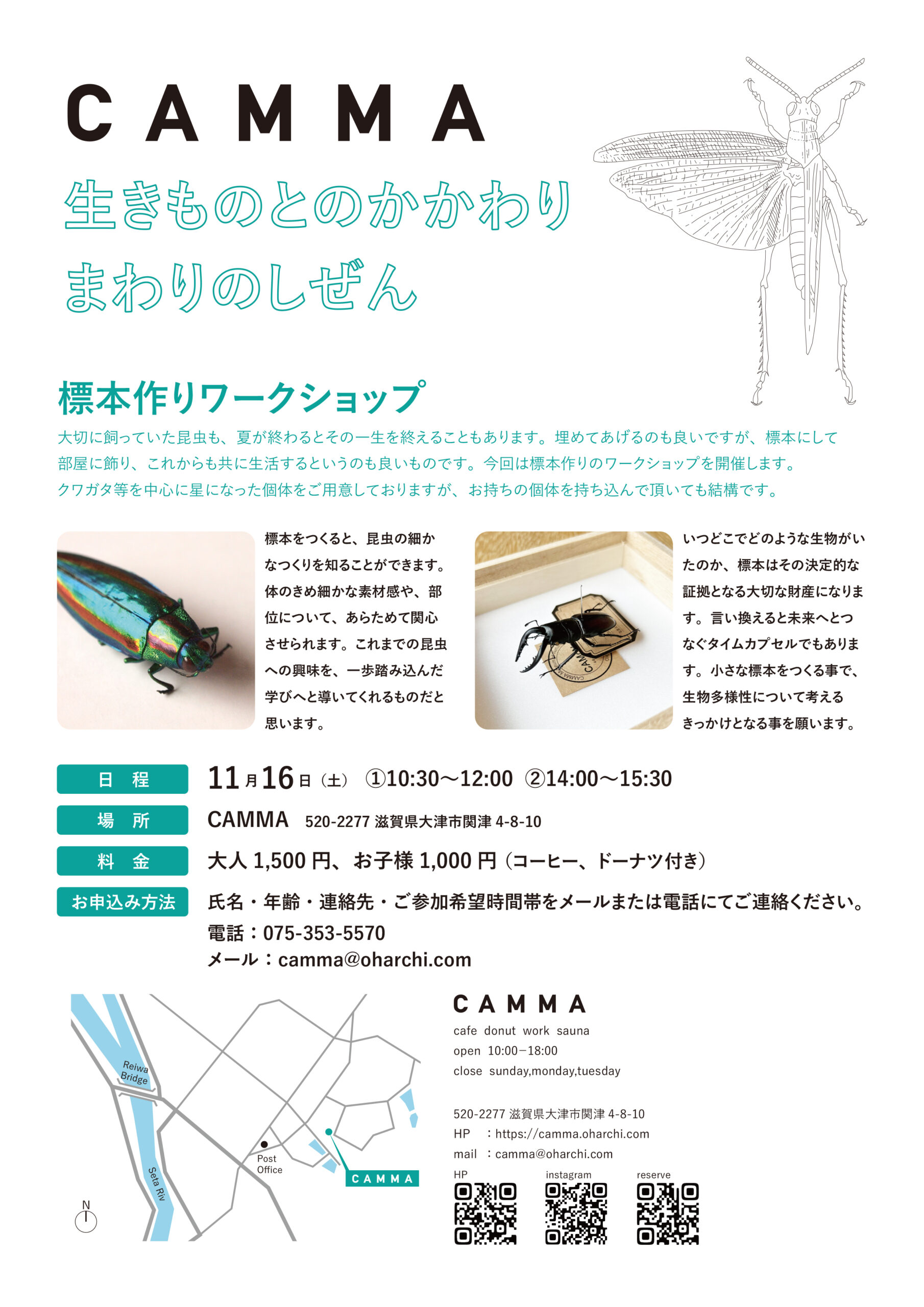 １１月１６日標本作りワークショップ